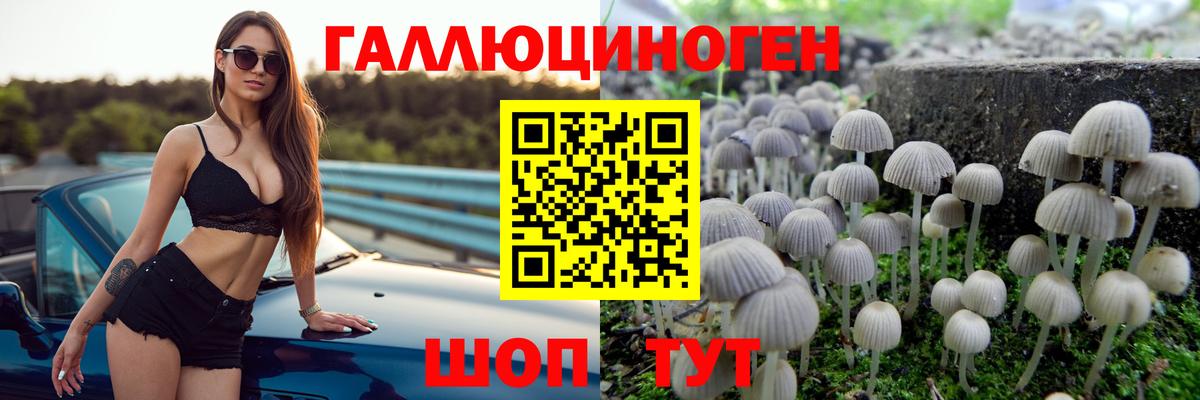 Городец  Псилоцибиновые грибы MAGIC MUSHROOMS  Псилоцибиновые грибы Cubensis  Вход с VPN 